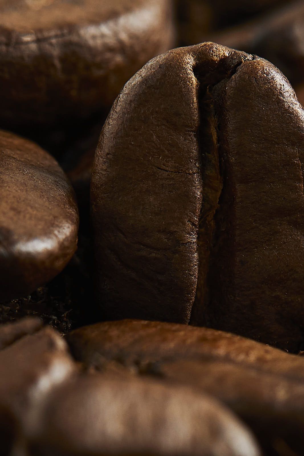 Culinaire — photographie 3