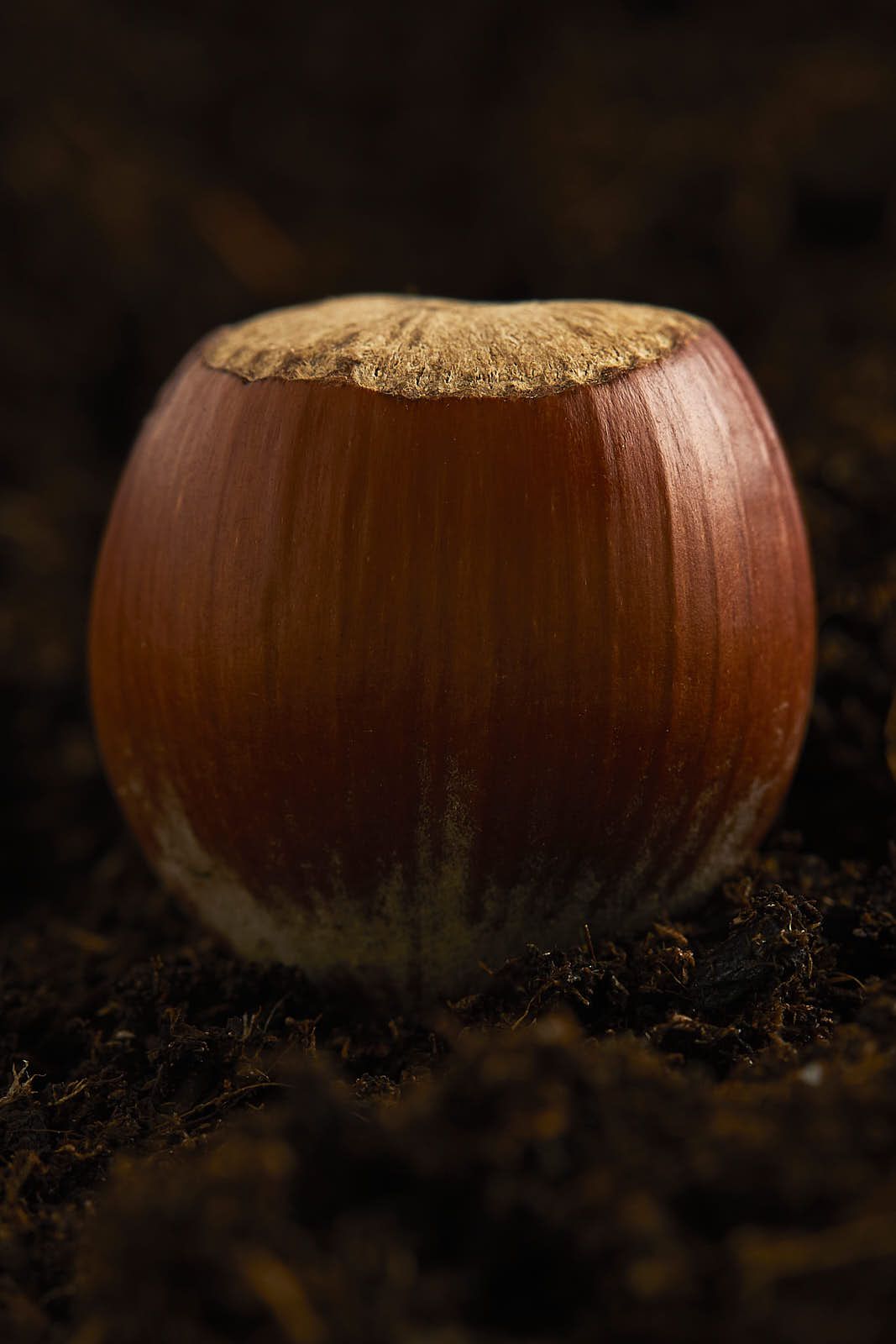 Culinaire — photographie 4
