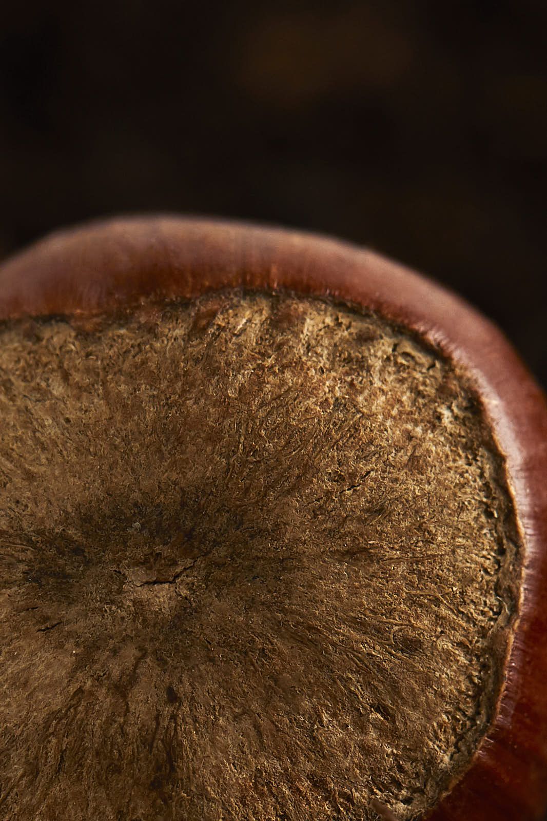 Culinaire — photographie 5