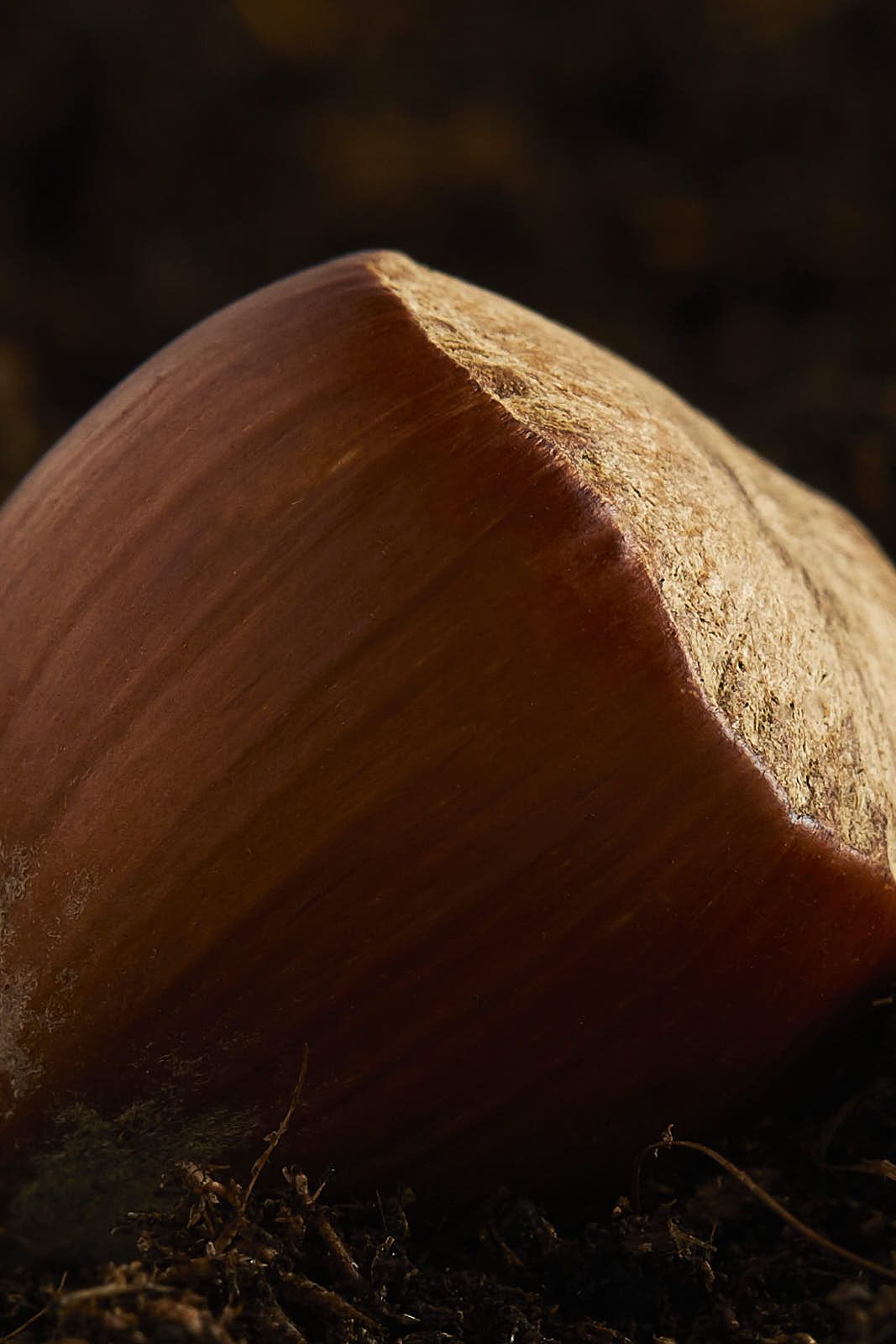 Culinaire — photographie 6
