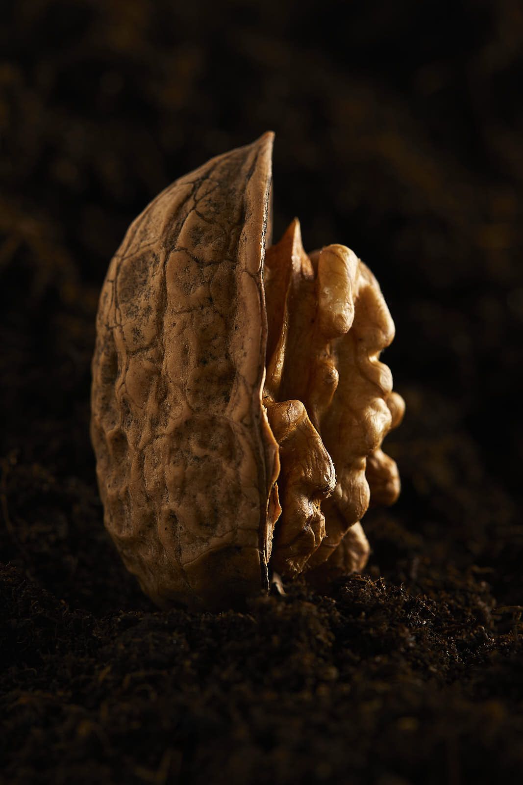 Culinaire — photographie 7