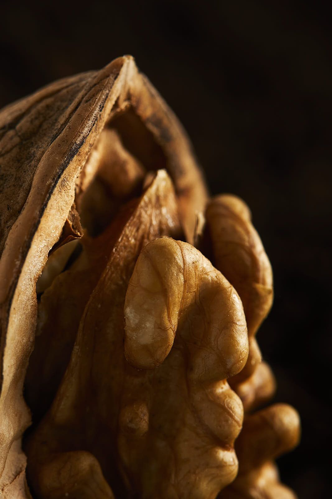 Culinaire — photographie 8
