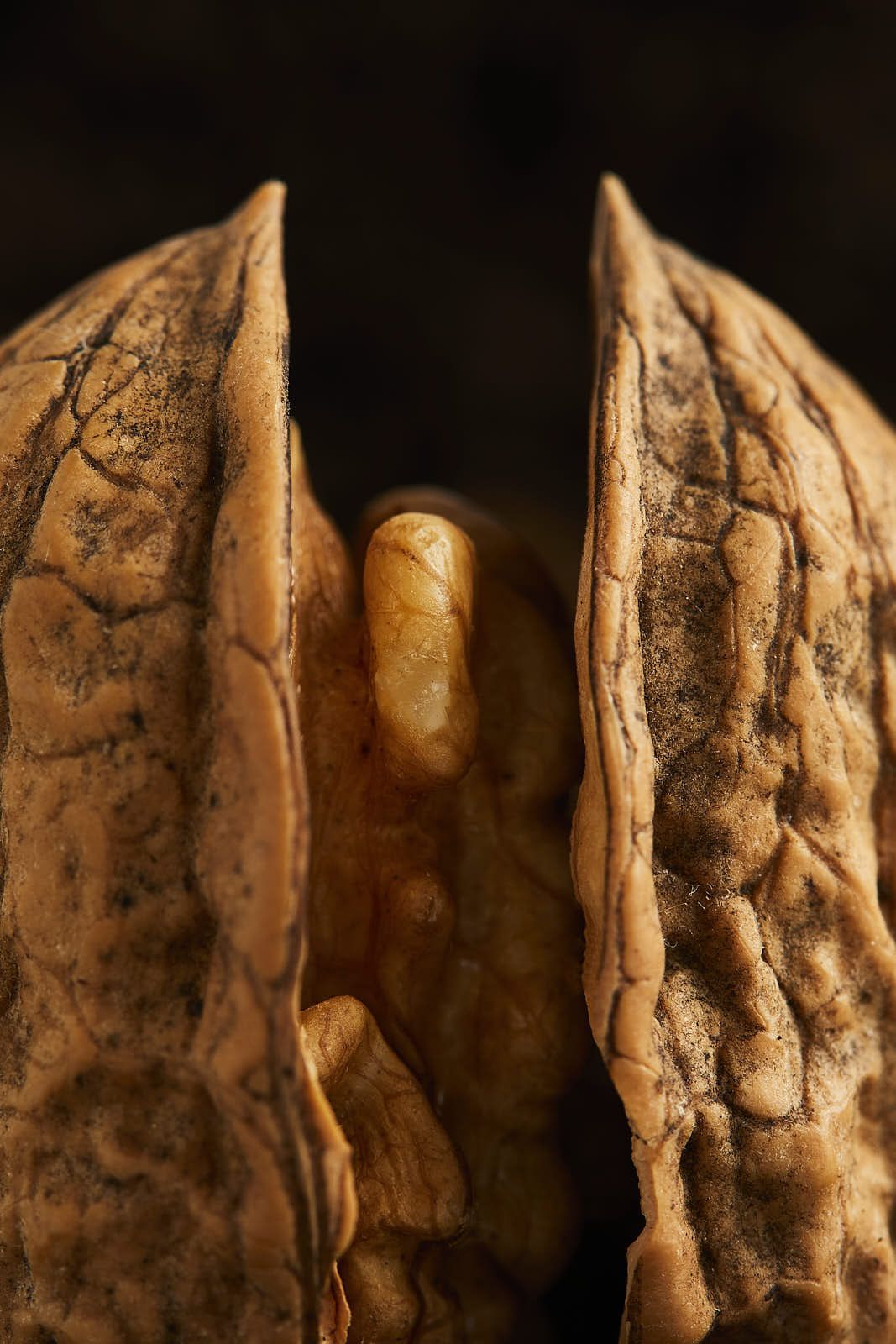Culinaire — photographie 9