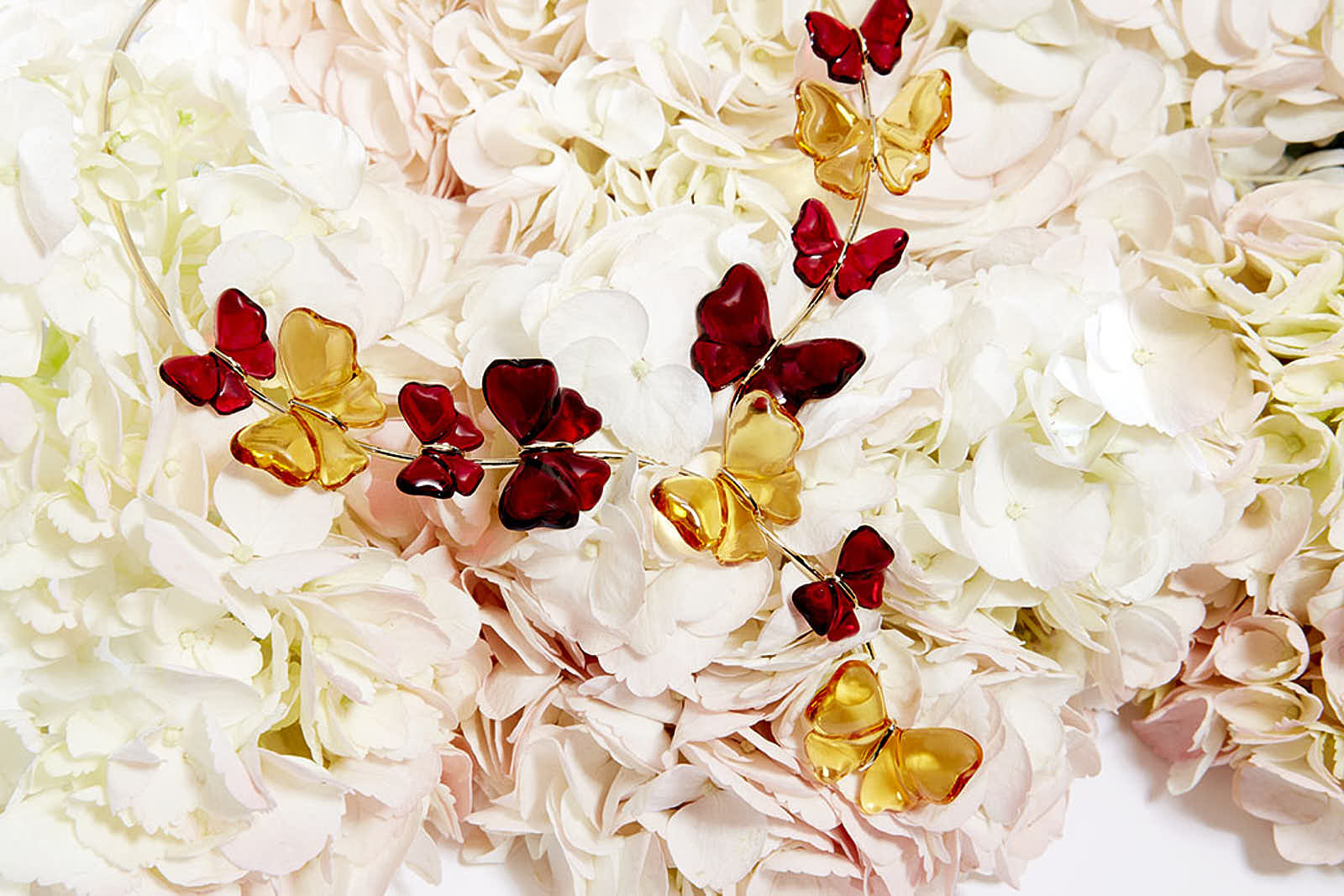 E-commerce — photographie 29