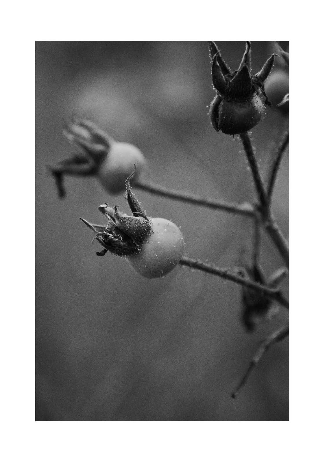 Univers personnels — photographie 8