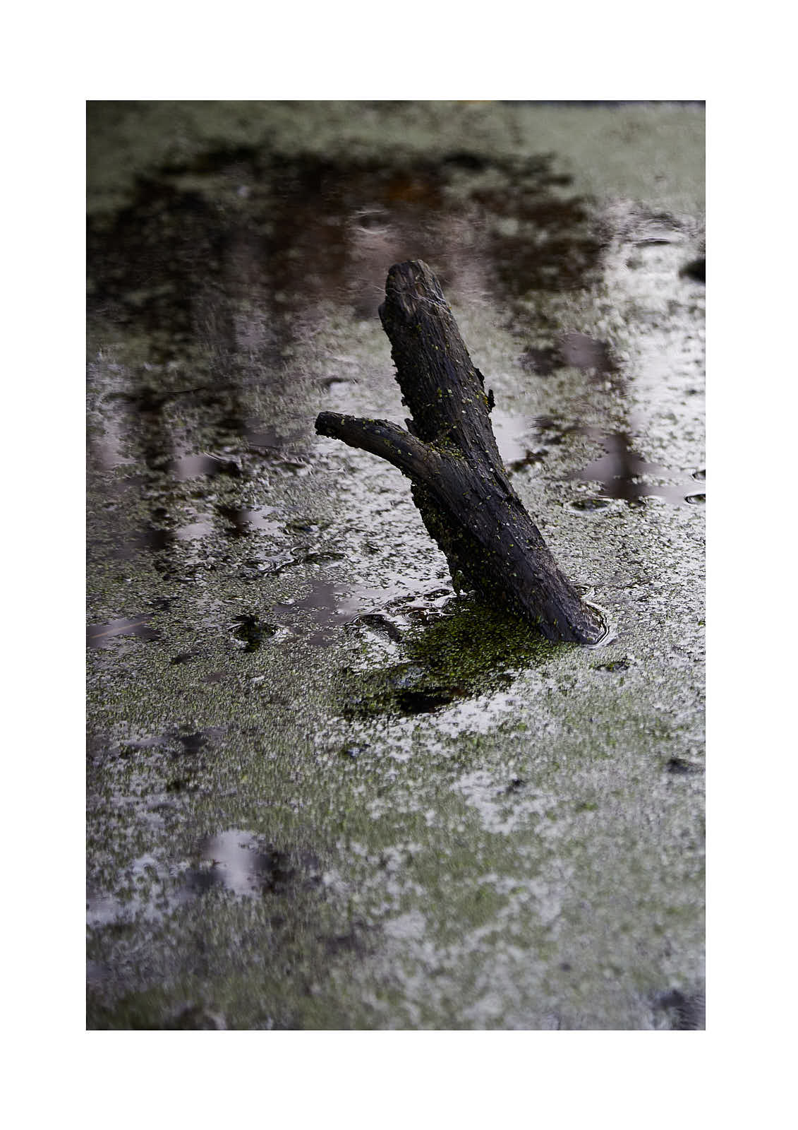 Univers personnels — photographie 9