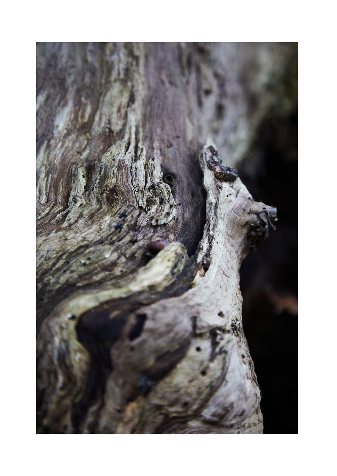 Univers personnels — photographie 10