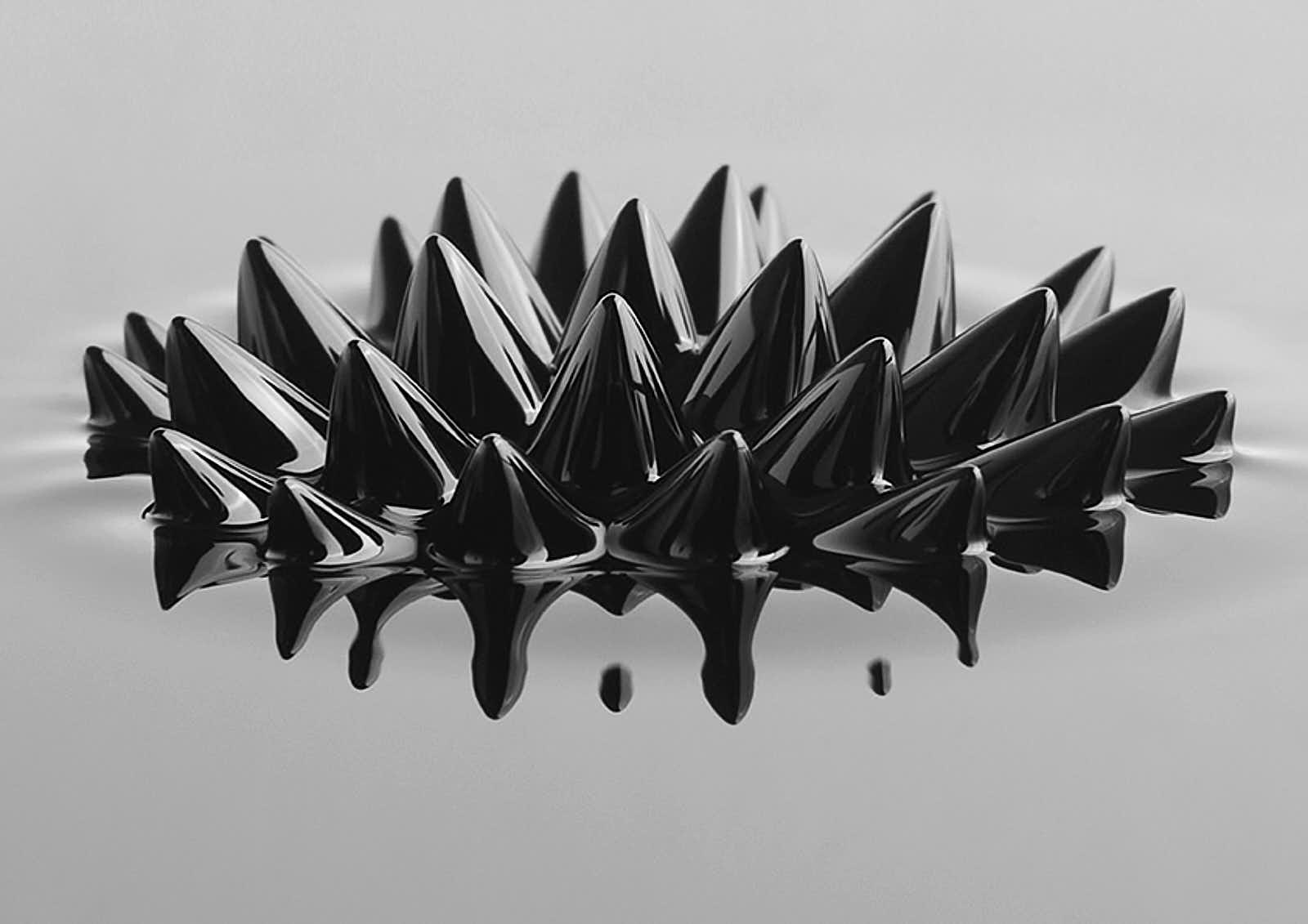 Univers personnels — photographie 11