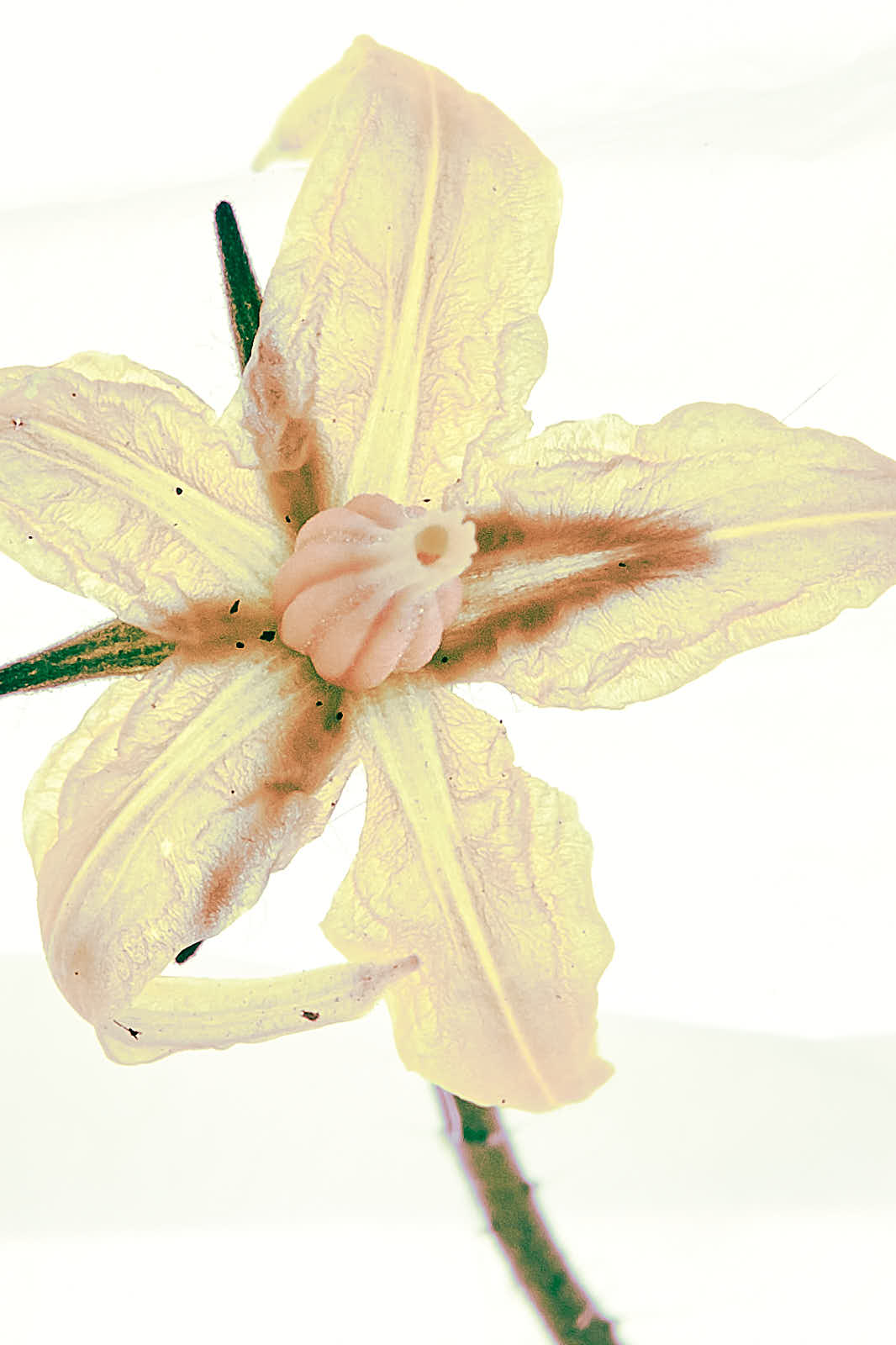 Univers personnels — photographie 15