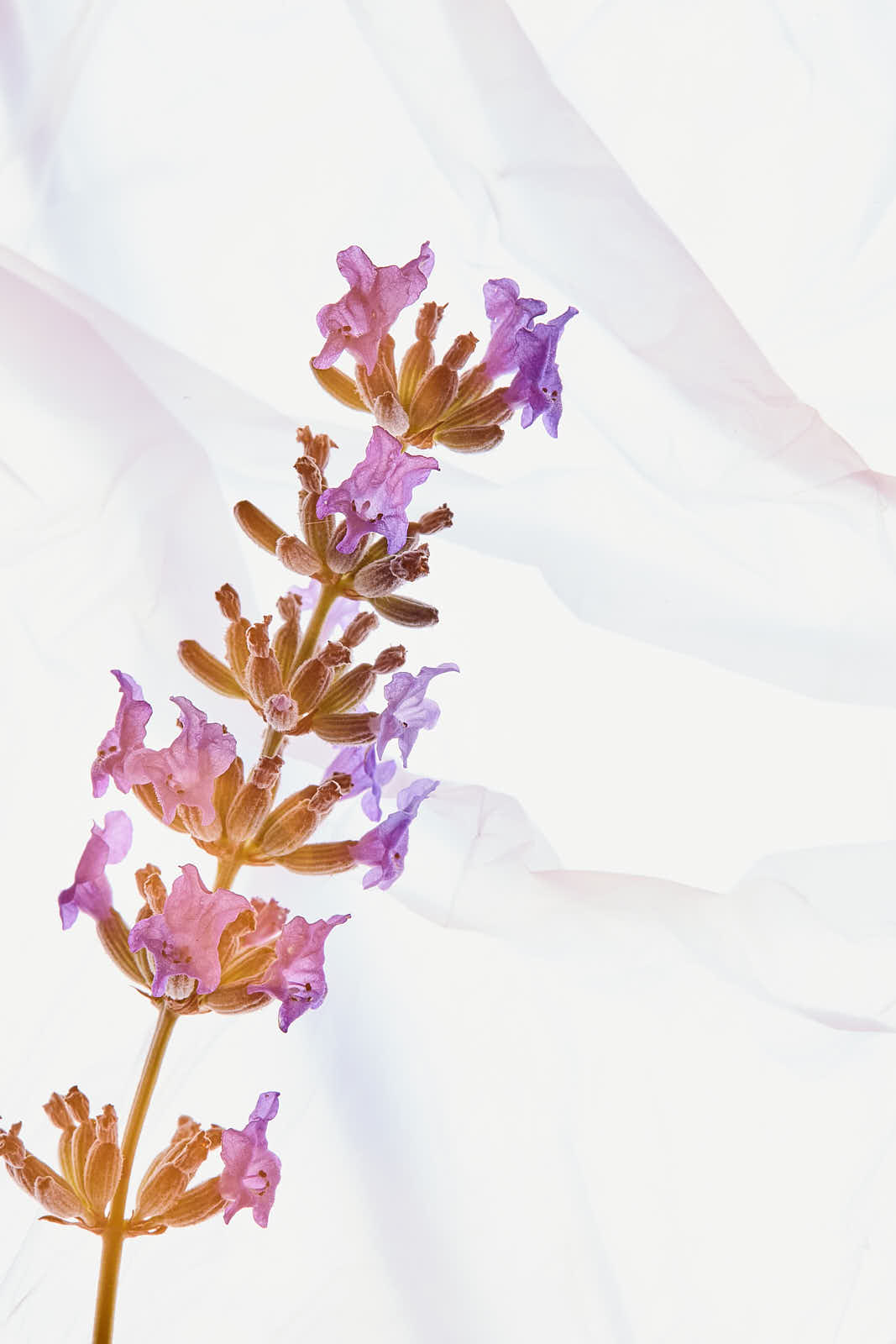 Univers personnels — photographie 17